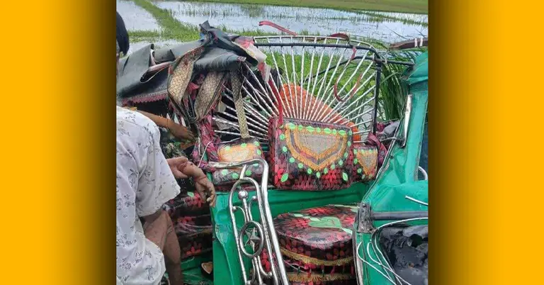 দুর্ঘটনা কবলিত সিএনজি